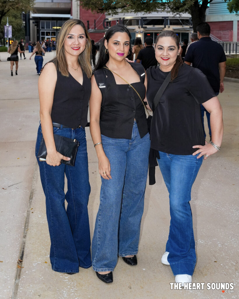 Fans/Maná - Photo: Nacho DelaGarza